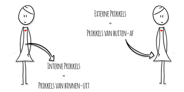 Hoogsensitiviteit – Sandra Kleipas